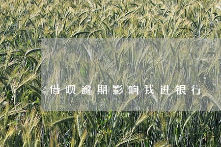 借呗逾期影响我进银行 借呗逾期影响我进银行