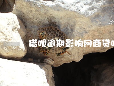 借呗逾期影响网商贷吗 借呗逾期影响网商贷吗