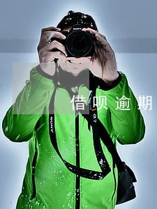 借呗逾期截图2020年图片