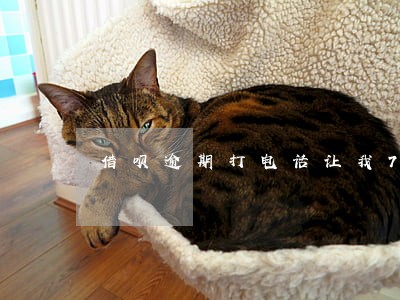 借呗逾期打电话让我7点结清 借呗逾期打电话让我7点结清