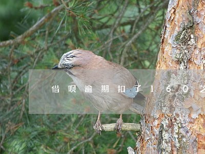 借呗逾期扣了160芝麻分 借呗逾期扣了160芝麻分