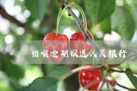 借呗逾期报送人民银行 借呗逾期报送人民银行