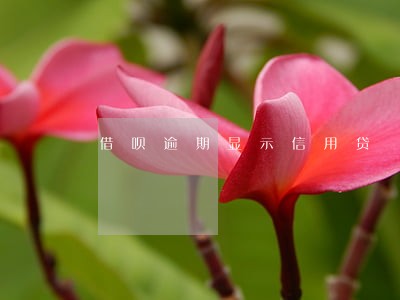 借呗逾期显示信用贷 借呗逾期显示信用贷