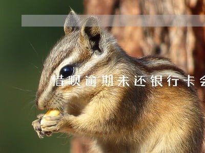 借呗逾期未还银行卡会被冻结了 借呗逾期未还银行卡会被冻结了
