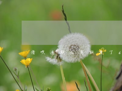 借呗逾期没有额度了6 借呗逾期没有额度了6