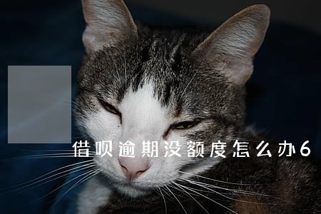 借呗逾期没额度怎么办6 借呗逾期没额度怎么办6