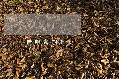 借呗逾期理财 借呗逾期理财