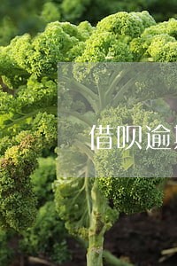 借呗逾期直接降额度1000 借呗逾期直接降额度1000