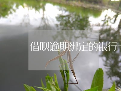 借呗逾期绑定的银行卡还能用吗 借呗逾期绑定的银行卡还能用吗