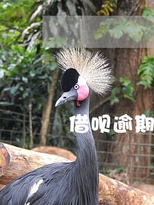 借呗逾期罚款涨到5千 借呗逾期罚款涨到5千