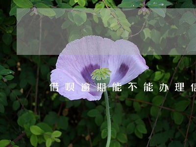 借呗逾期能不能办理信用卡 借呗逾期能不能办理信用卡