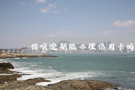借呗逾期能办理信用卡吗 借呗逾期能办理信用卡吗