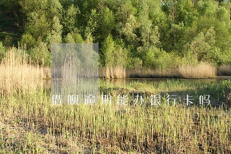 借呗逾期能办银行卡吗 借呗逾期能办银行卡吗