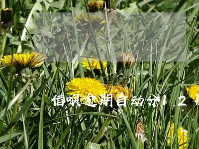 借呗逾期自动分12期
