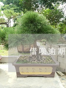 借呗逾期芝麻分400分 借呗逾期芝麻分400分