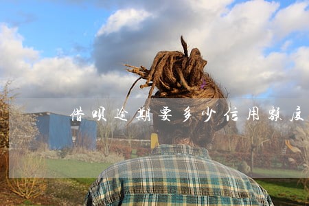 借呗逾期要多少信用额度 借呗逾期要多少信用额度