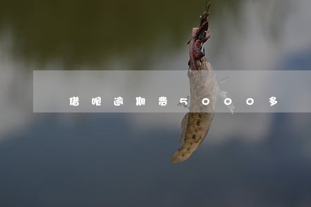 借呗逾期费5000多 借呗逾期费5000多