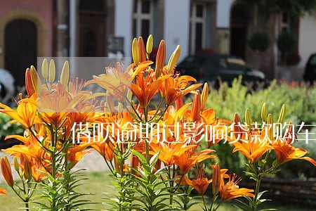 借呗逾期过影响贷款购车吗 借呗逾期过影响贷款购车吗
