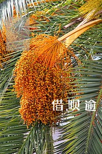 借呗逾期还上影响信用卡额度 借呗逾期还上影响信用卡额度