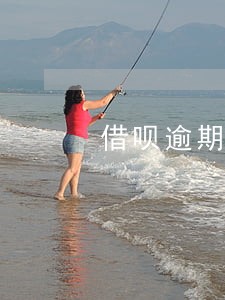 借呗逾期还了会影响信用卡吗 借呗逾期还了会影响信用卡吗
