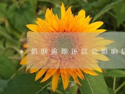 借呗逾期还款会影响信用卡吗 借呗逾期还款会影响信用卡吗