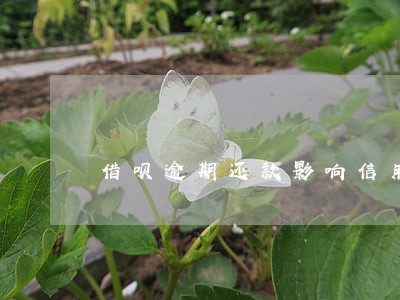 借呗逾期还款影响信用