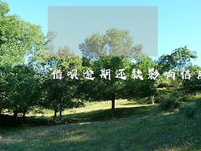 借呗逾期还款影响信用卡 借呗逾期还款影响信用卡