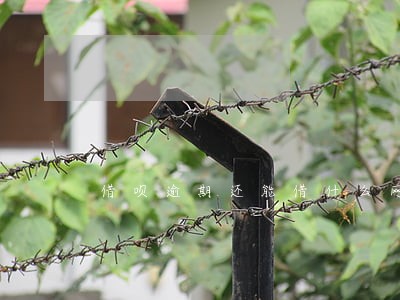 借呗逾期还能借什么网贷 借呗逾期还能借什么网贷