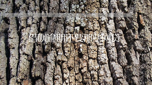 借呗逾期还要那些网贷 借呗逾期还要那些网贷