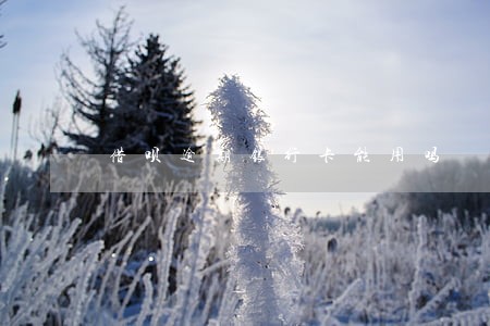 借呗逾期银行卡能用吗 借呗逾期银行卡能用吗