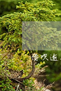 借呗逾期银行多久会打电话催 借呗逾期银行多久会打电话催
