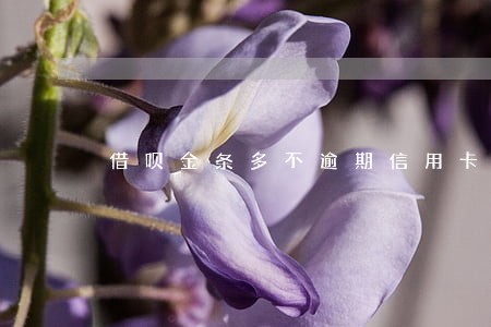 借呗金条多不逾期信用卡会降额吗 借呗金条多不逾期信用卡会降额吗