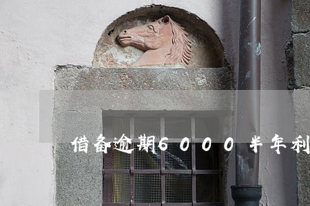 借备逾期6000半年利息多少 借备逾期6000半年利息多少