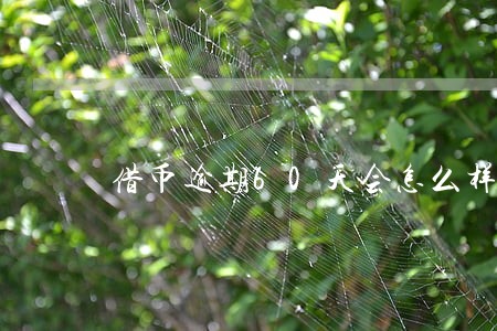 借币逾期60天会怎么样 借币逾期60天会怎么样