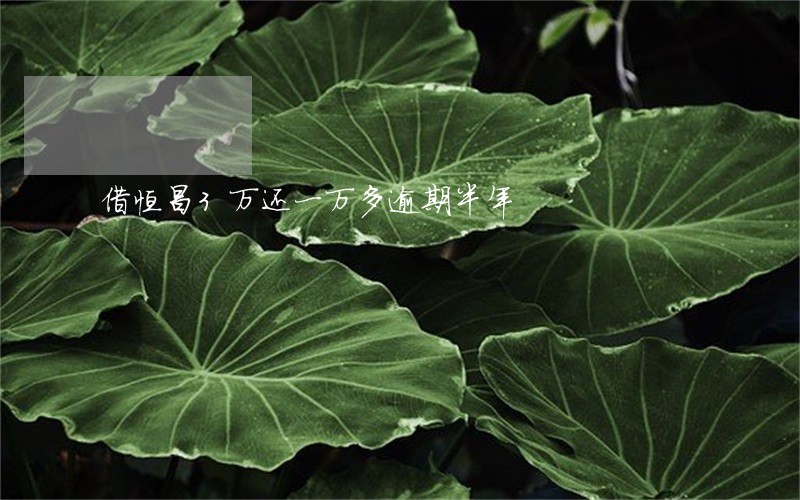 借恒昌3万还一万多逾期半年 借恒昌3万还一万多逾期半年
