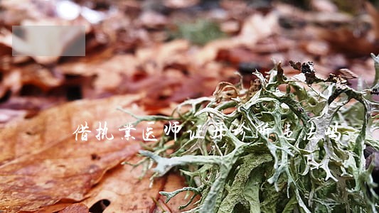 借执业医师证开诊所违法吗 借执业医师证开诊所违法吗