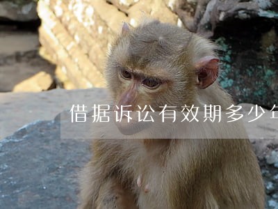 借据诉讼有效期多少年