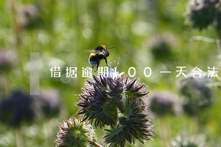 借据逾期100一天合法生效不 借据逾期100一天合法生效不