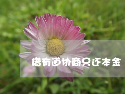 借有道协商只还本金 借有道协商只还本金