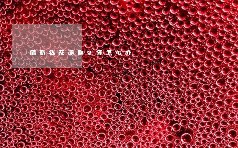 借有钱花逾期2年怎么办 借有钱花逾期2年怎么办