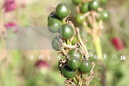 借朋友信用卡逾期算诈骗吗 借朋友信用卡逾期算诈骗吗