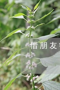 借朋友钱逾期3天 借朋友钱逾期3天