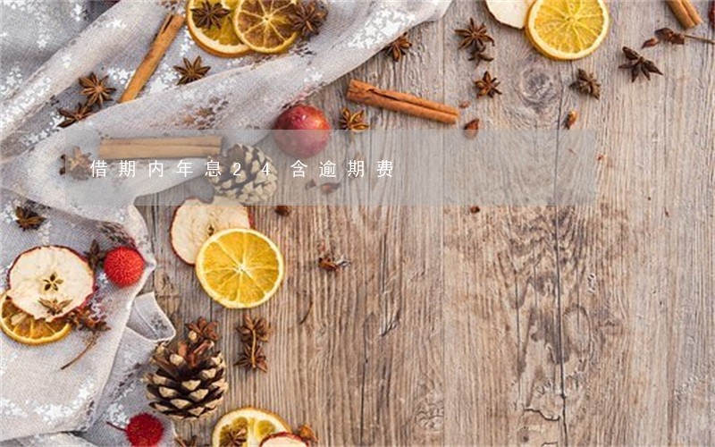 借期内年息24含逾期费 借期内年息24含逾期费