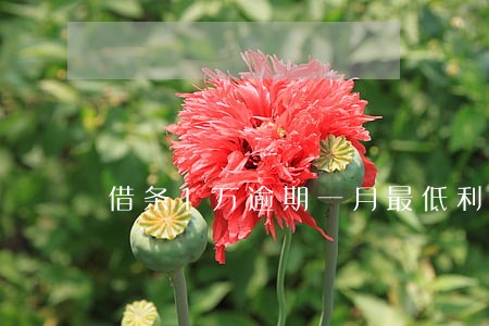 借条1万逾期一月最低利息 借条1万逾期一月最低利息