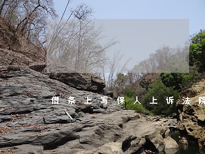 借条上写保人上诉法院保人管不管 借条上写保人上诉法院保人管不管