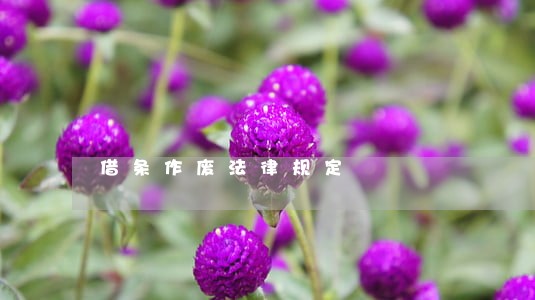 借条作废法律规定 借条作废法律规定