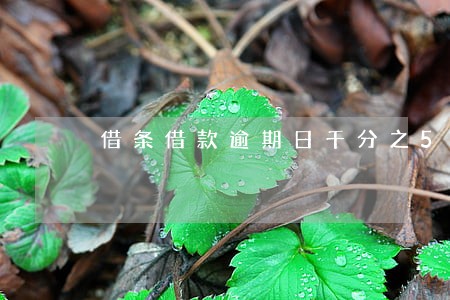 借条借款逾期日千分之5 借条借款逾期日千分之5