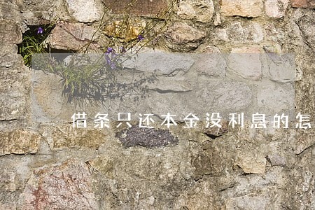 借条只还本金没利息的怎么写 借条只还本金没利息的怎么写