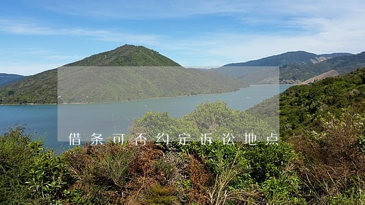 借条可否约定诉讼地点 借条可否约定诉讼地点