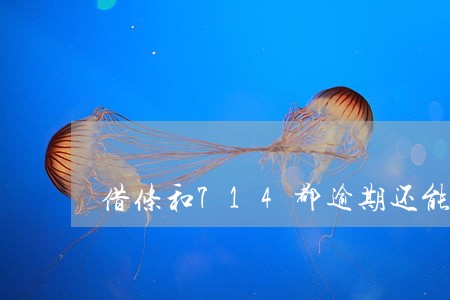 借条和714都逾期还能借吗 借条和714都逾期还能借吗